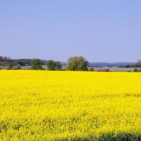 2 Kormoran Apartament *